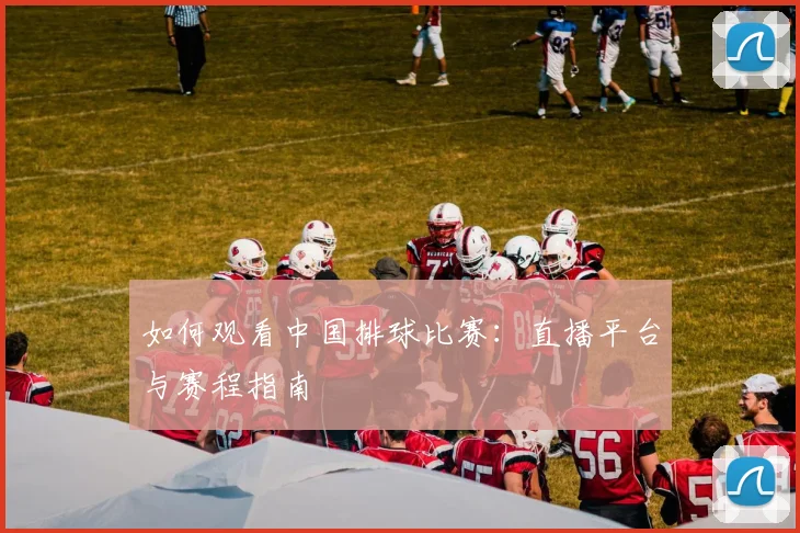 如何观看中国排球比赛：直播平台与赛程指南