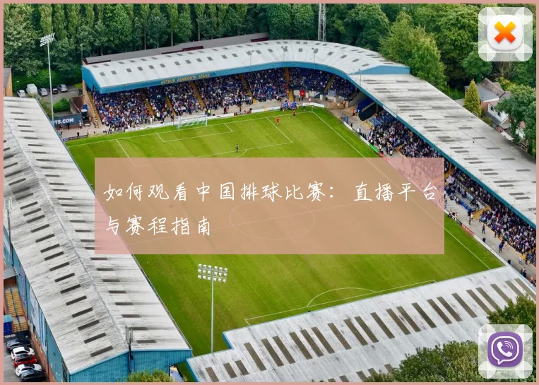 如何观看中国排球比赛：直播平台与赛程指南