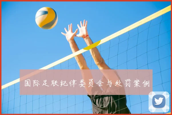 国际足联纪律委员会与处罚案例
