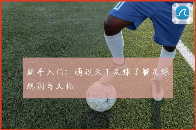 新手入门:通过天下足球了解足球规则与文化